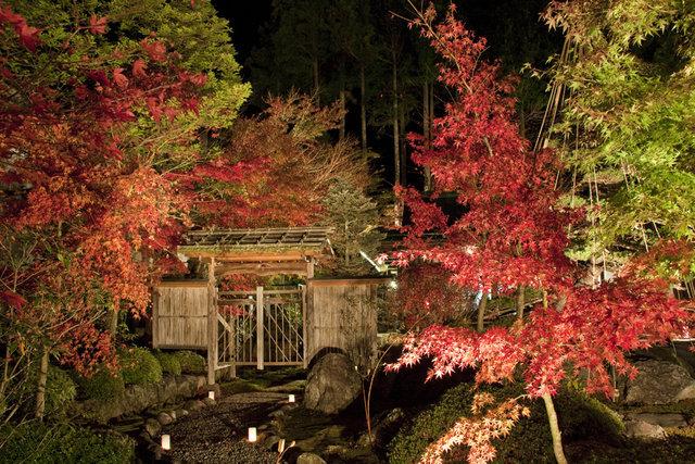 日本庭園