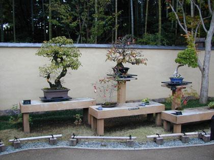 日本庭園