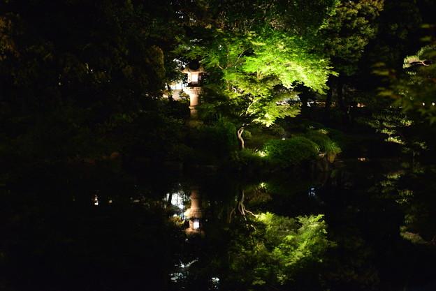 日本庭園