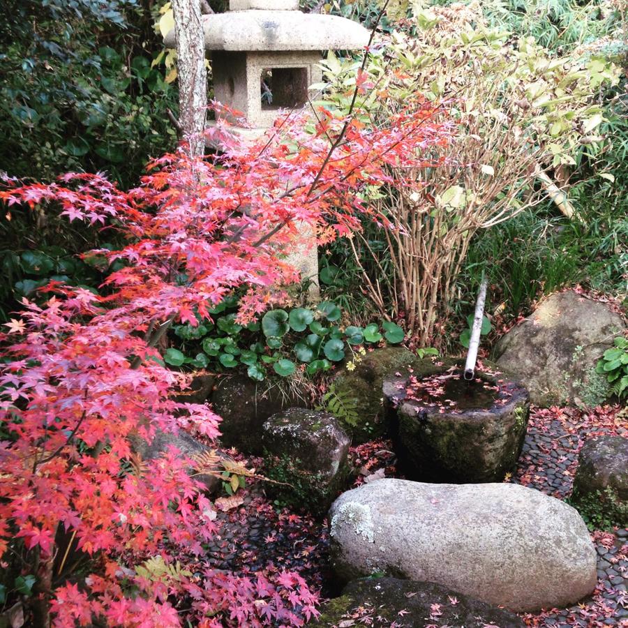 日本庭園