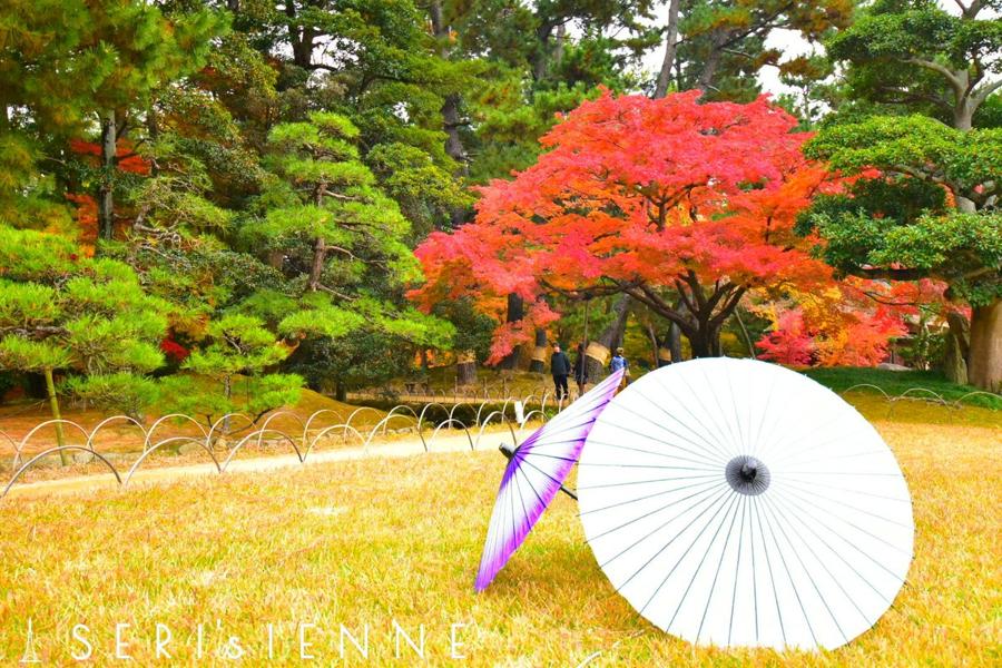 日本庭園