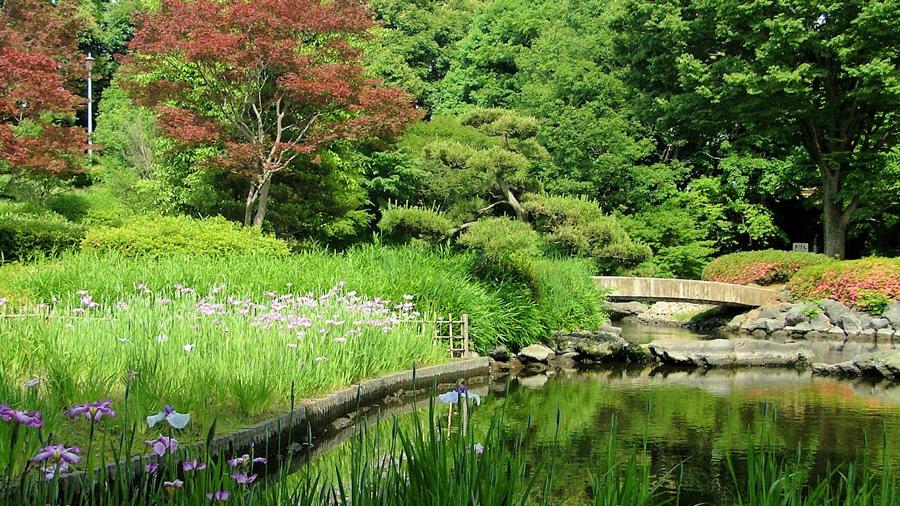 日本庭園