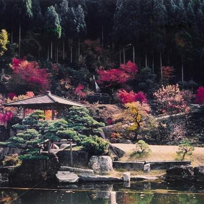 日本庭園