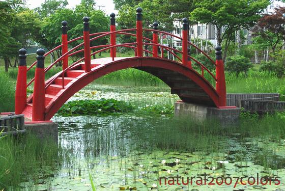 日本庭園