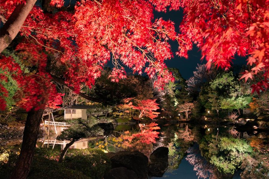 日本庭園