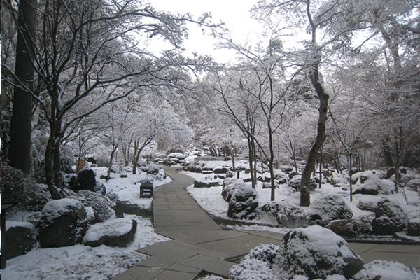 日本庭園