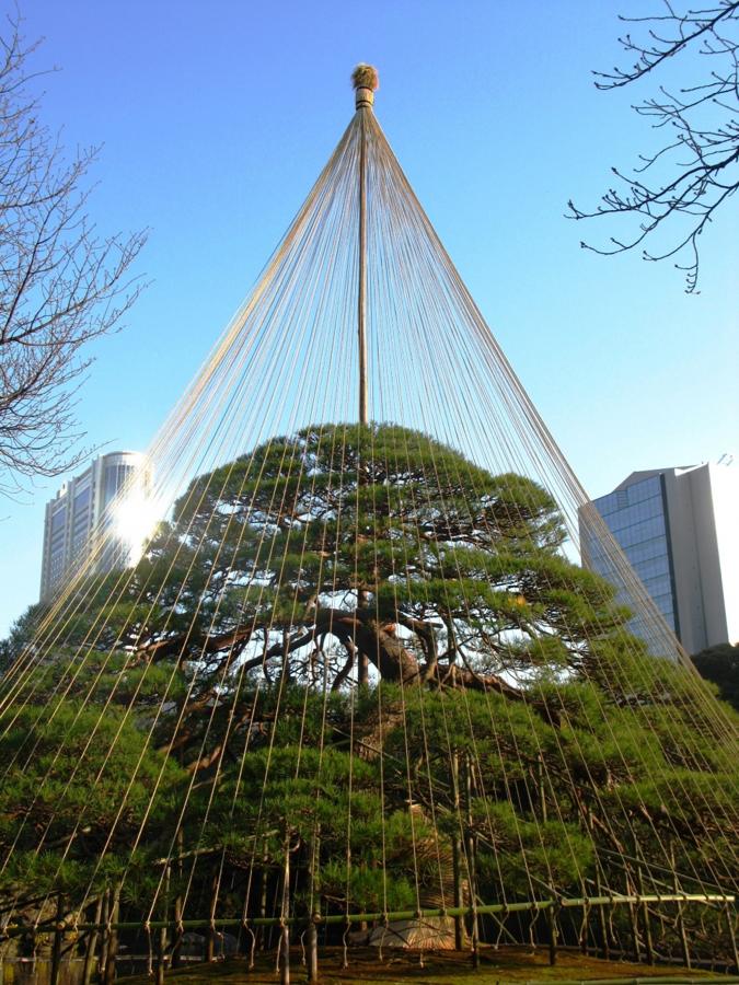 日本庭園