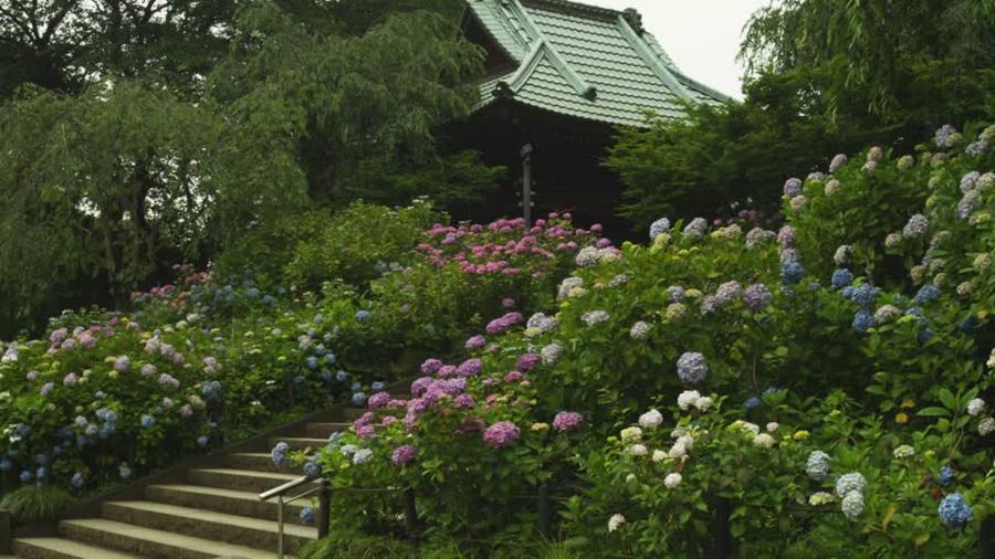 日本庭園