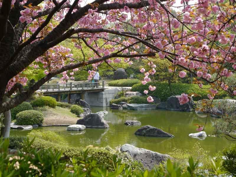 日本庭園