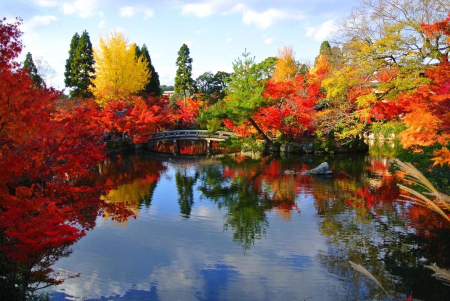 日本庭園