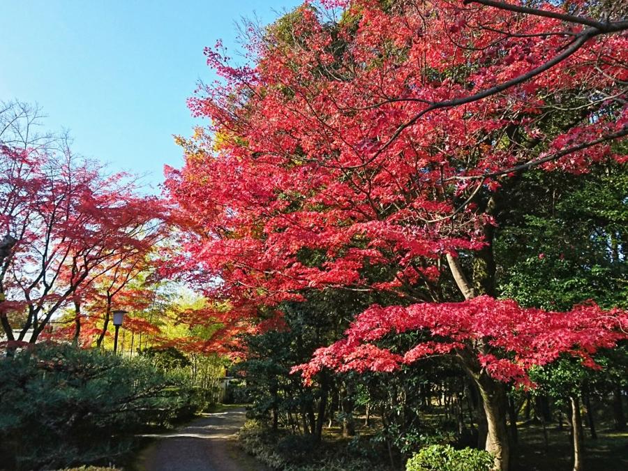 日本庭園