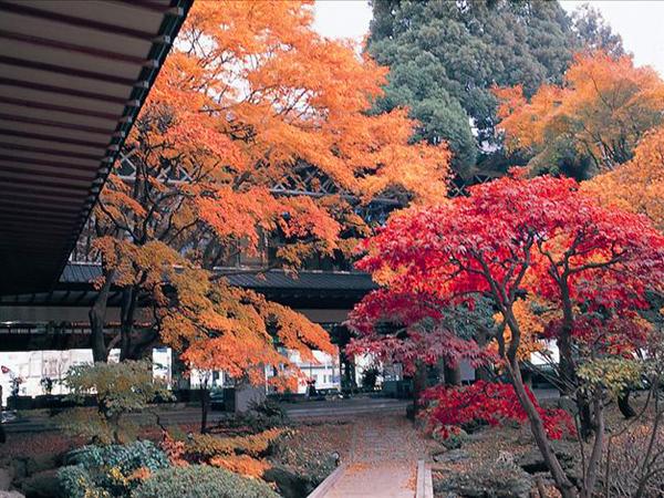 日本庭園