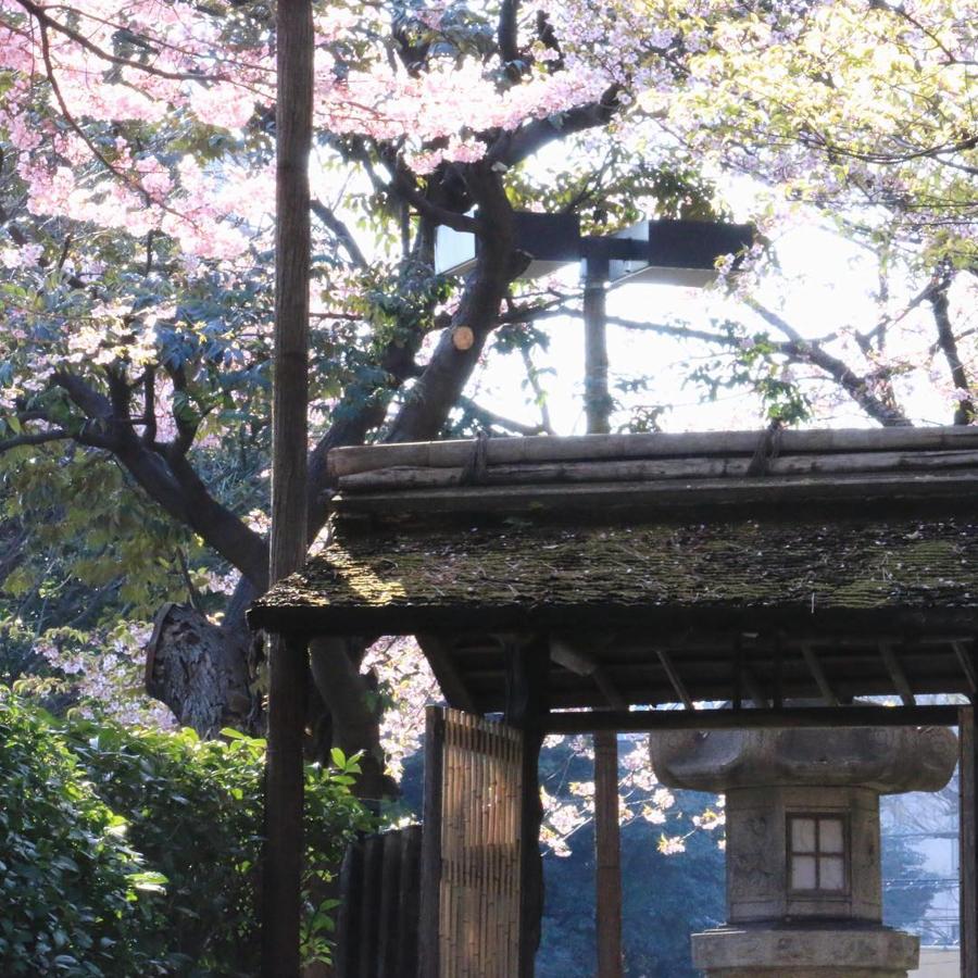 日本庭園