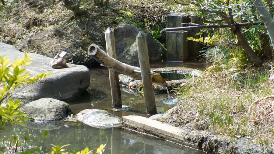 日本庭園