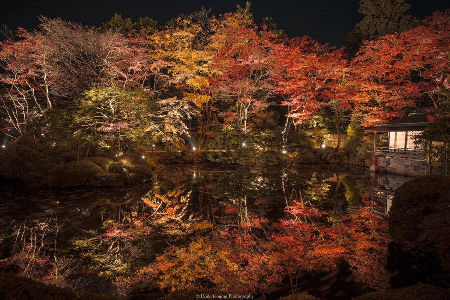 日本庭園