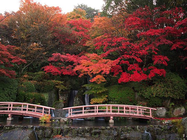 日本庭園