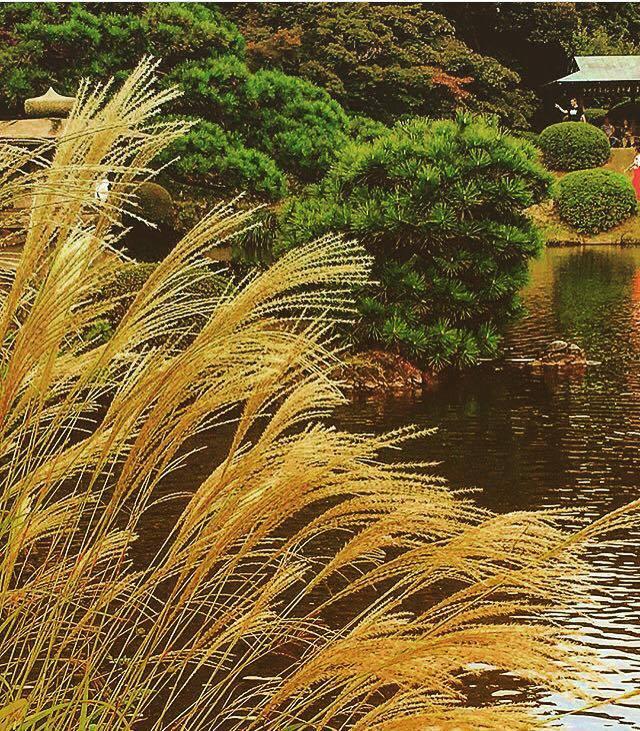 日本庭園