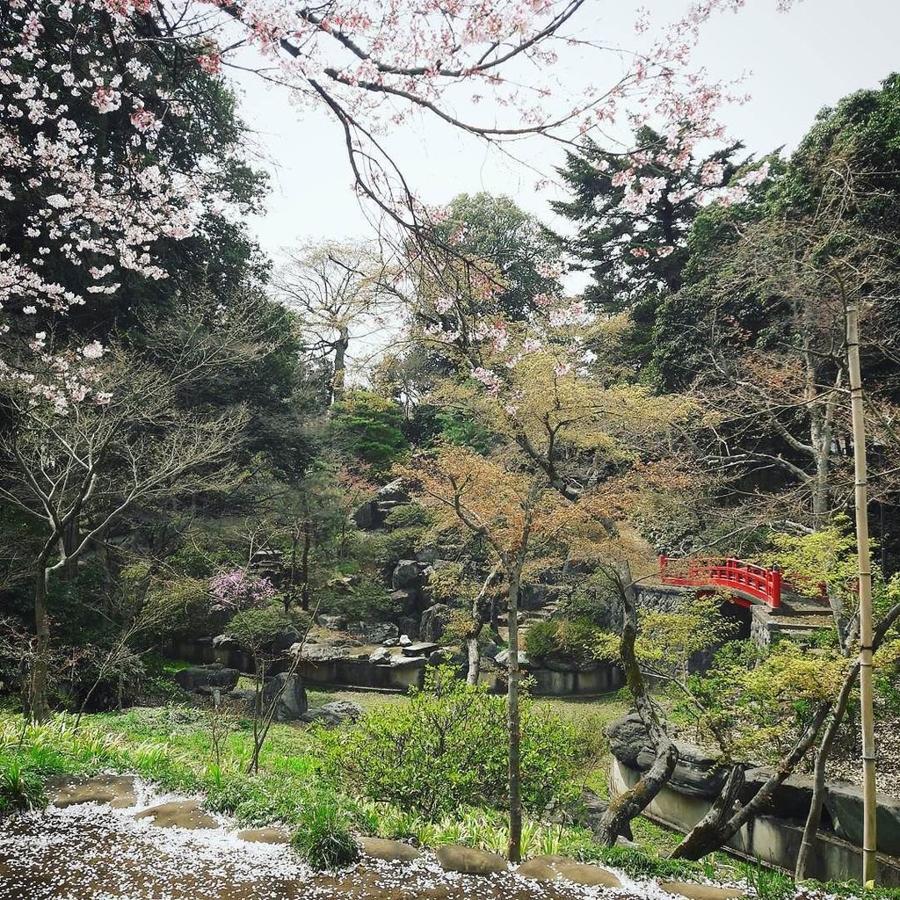 日本庭園