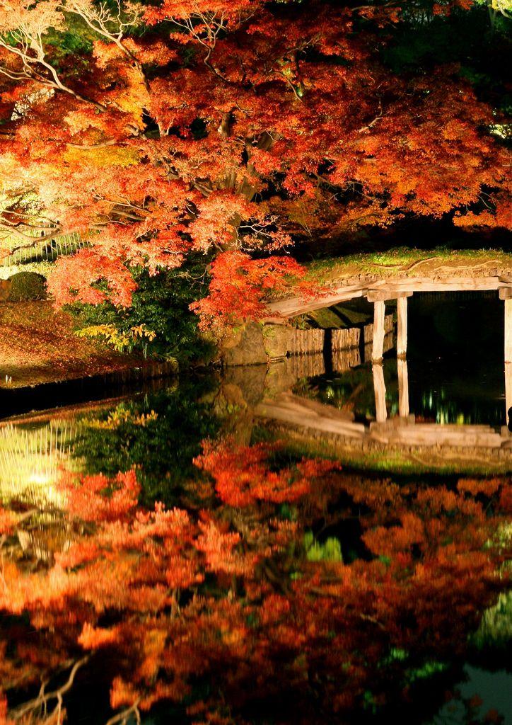 日本庭園