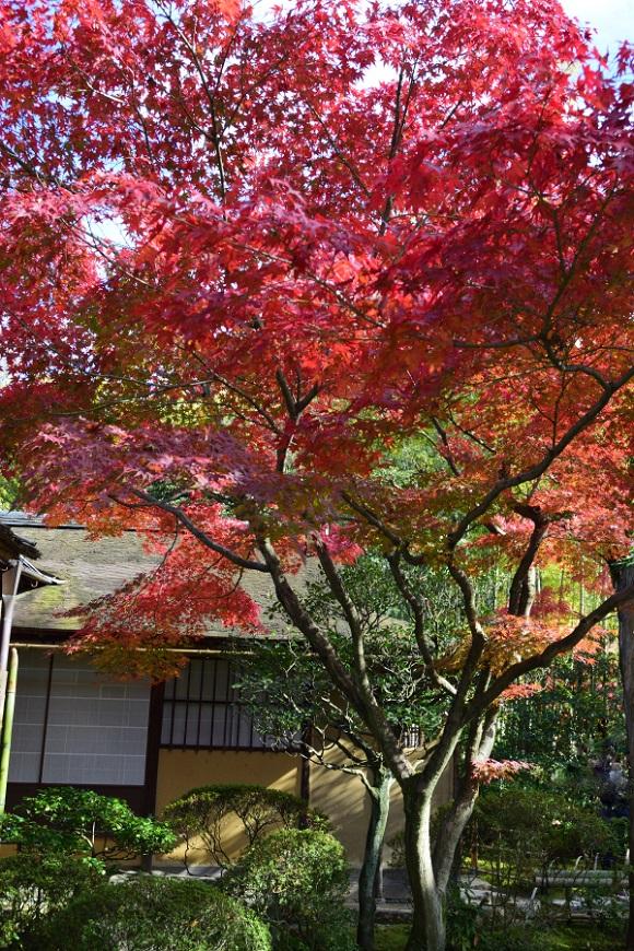 日本庭園