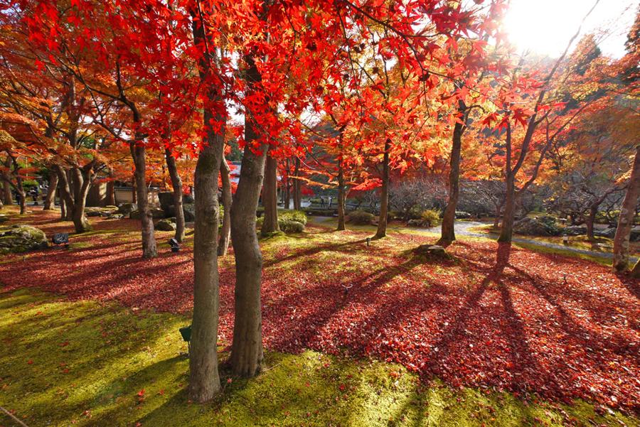 日本庭園