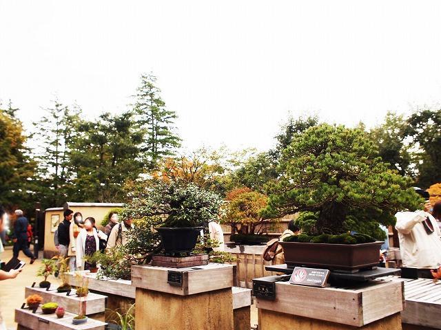 日本庭園