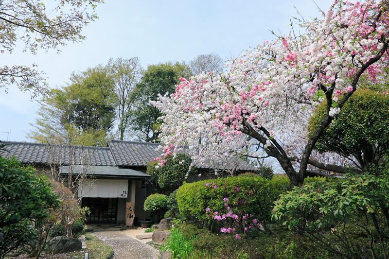 日本庭園