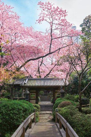 日本庭園