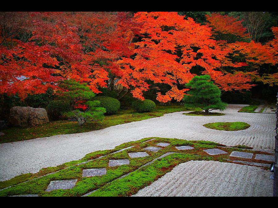 日本庭園