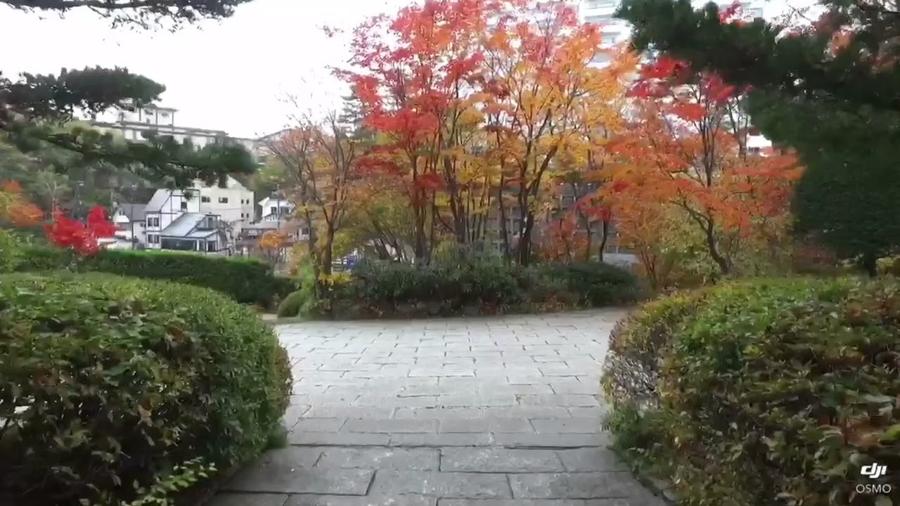 日本庭園