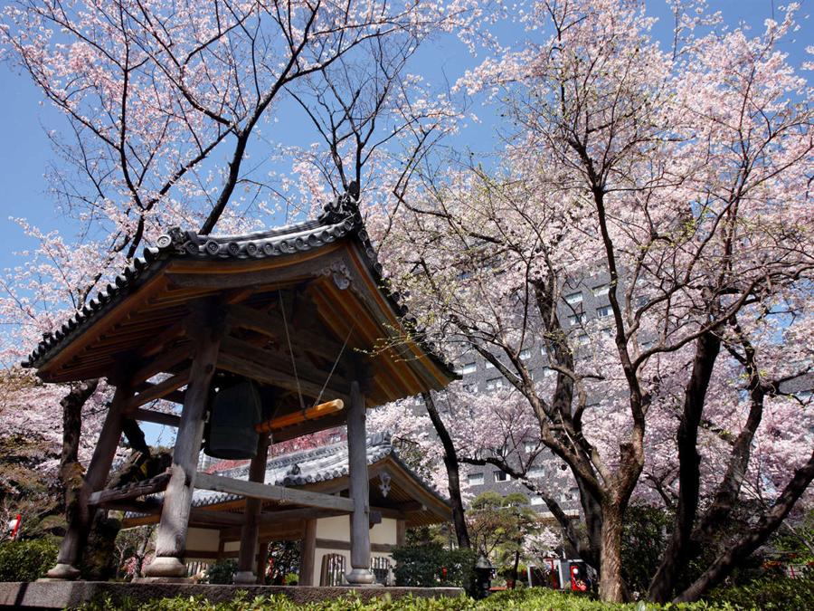 日本庭園
