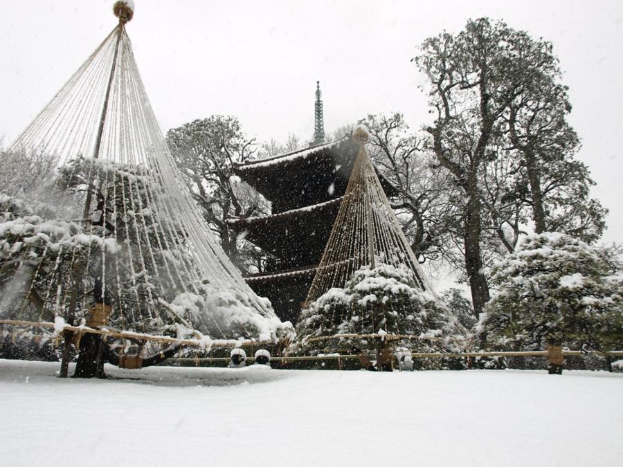 日本庭園