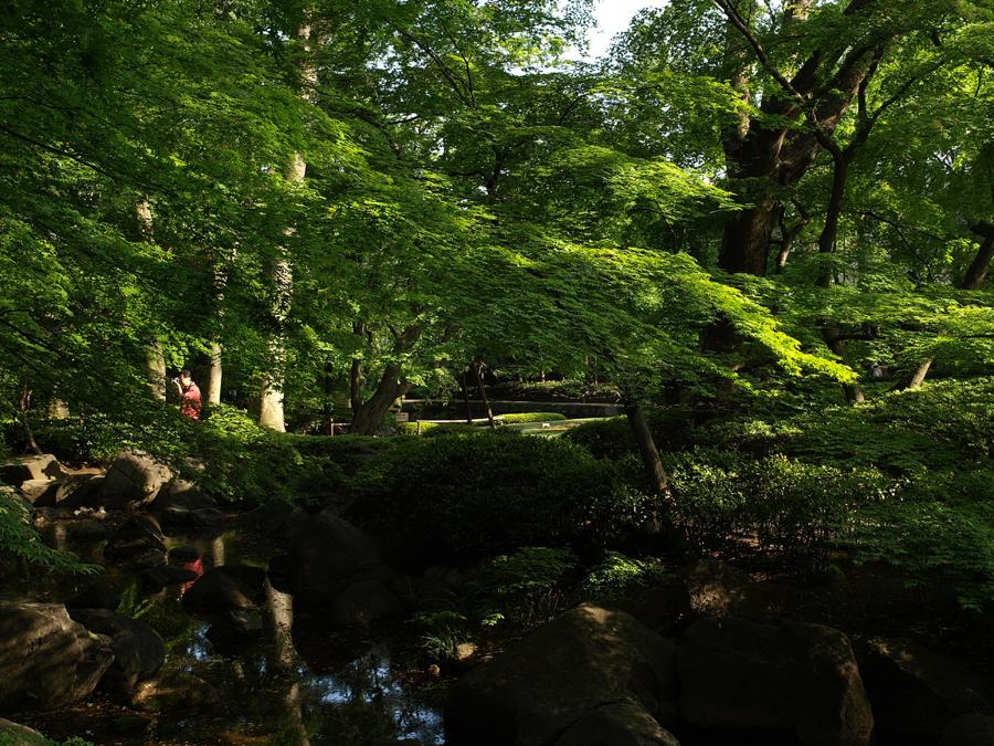 日本庭園