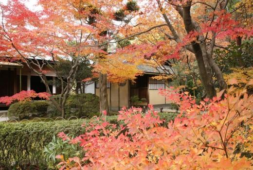 日本庭園