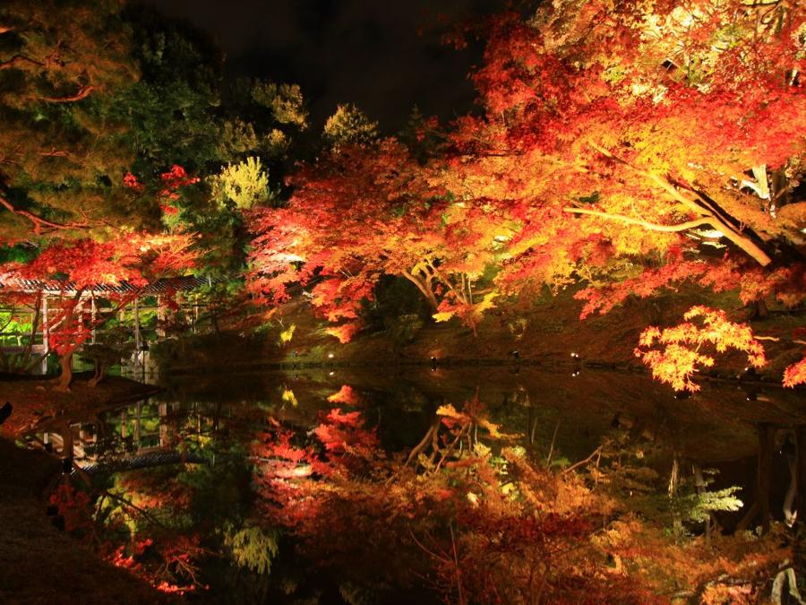 日本庭園