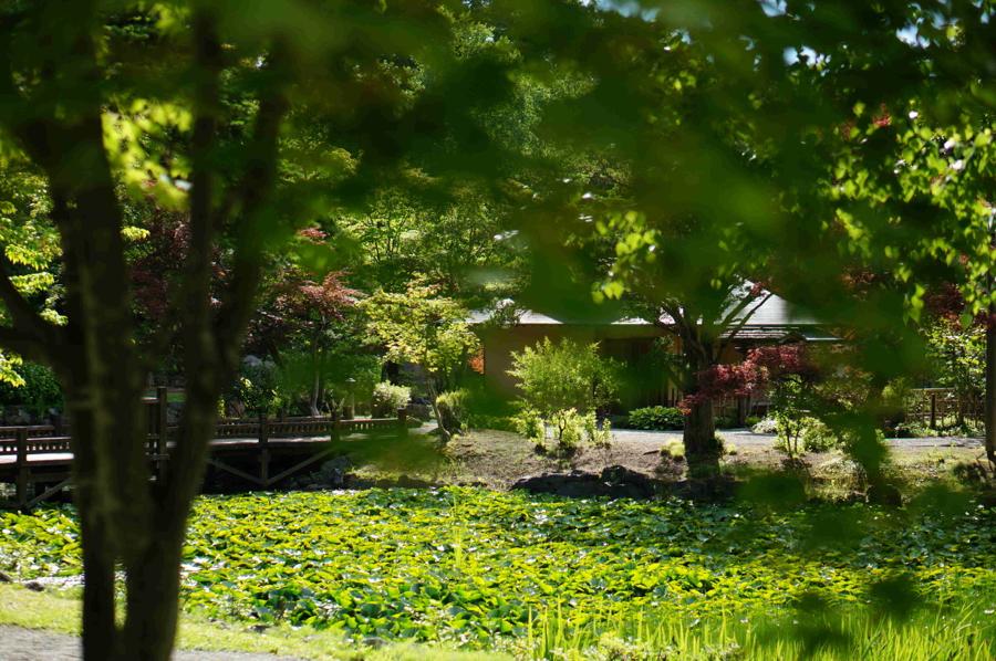 日本庭園