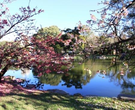日本庭園