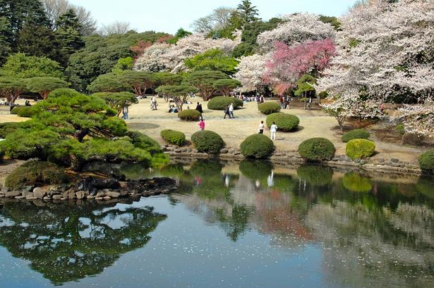 日本庭園
