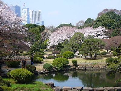 日本庭園