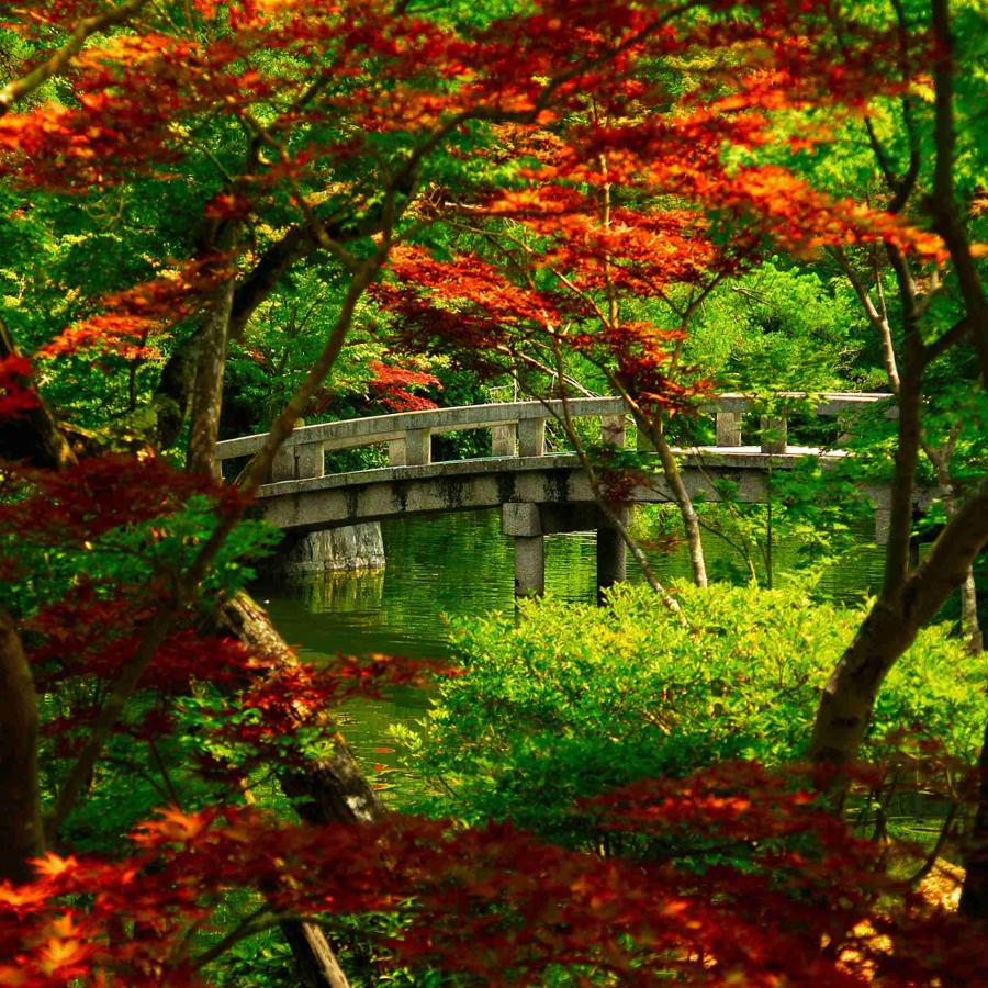 日本庭園