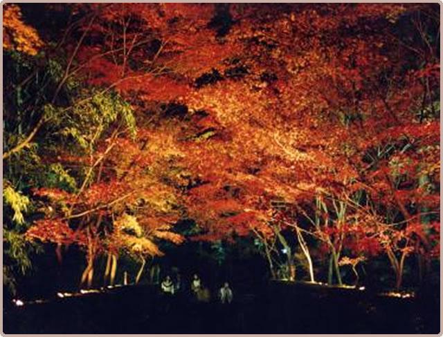日本庭園