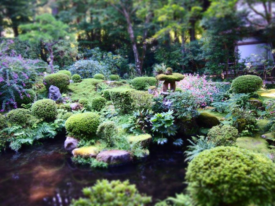 日本庭園