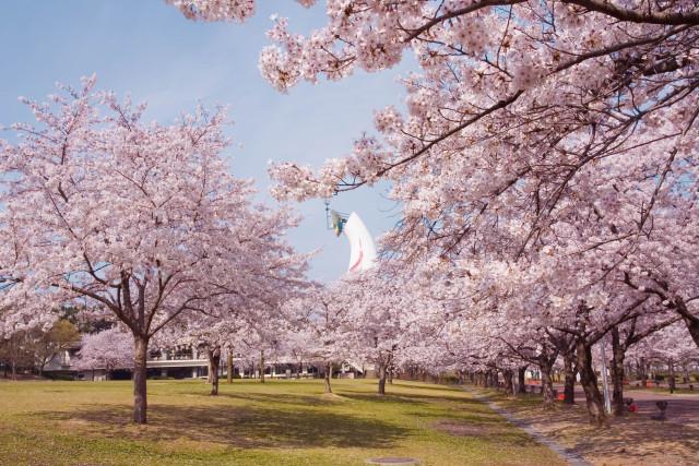 日本庭園