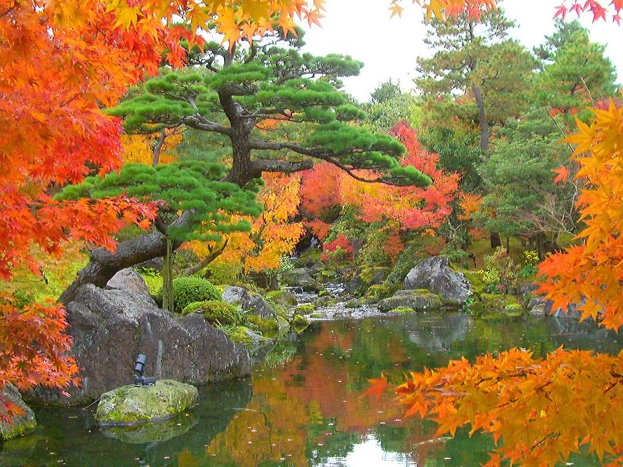 日本庭園