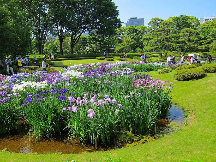 日本庭園