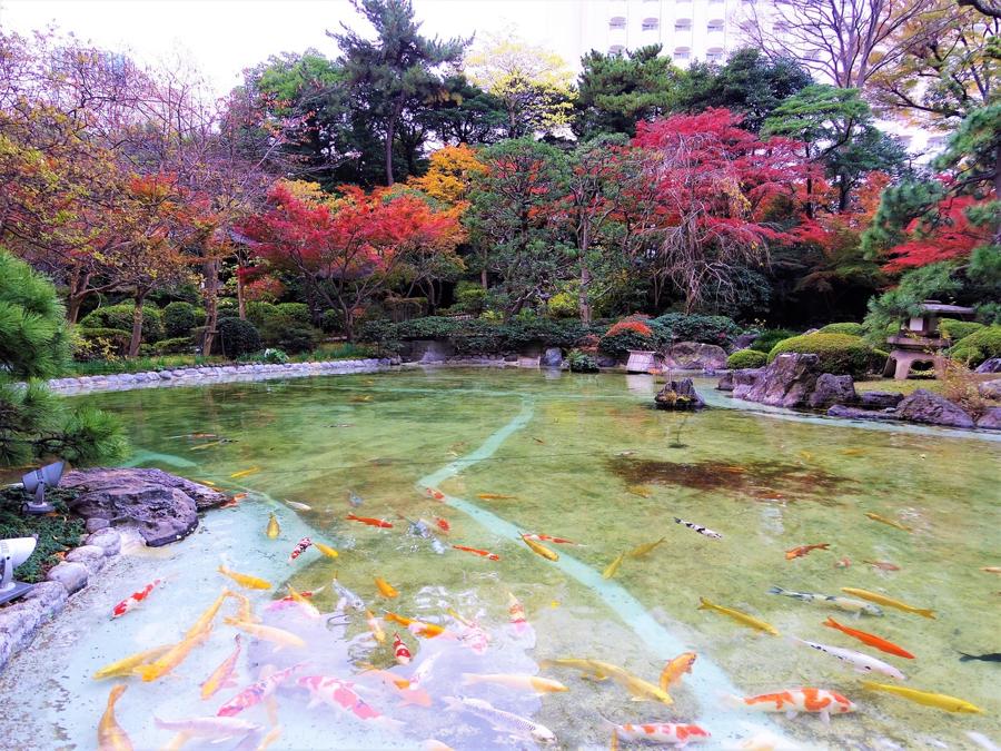 日本庭園