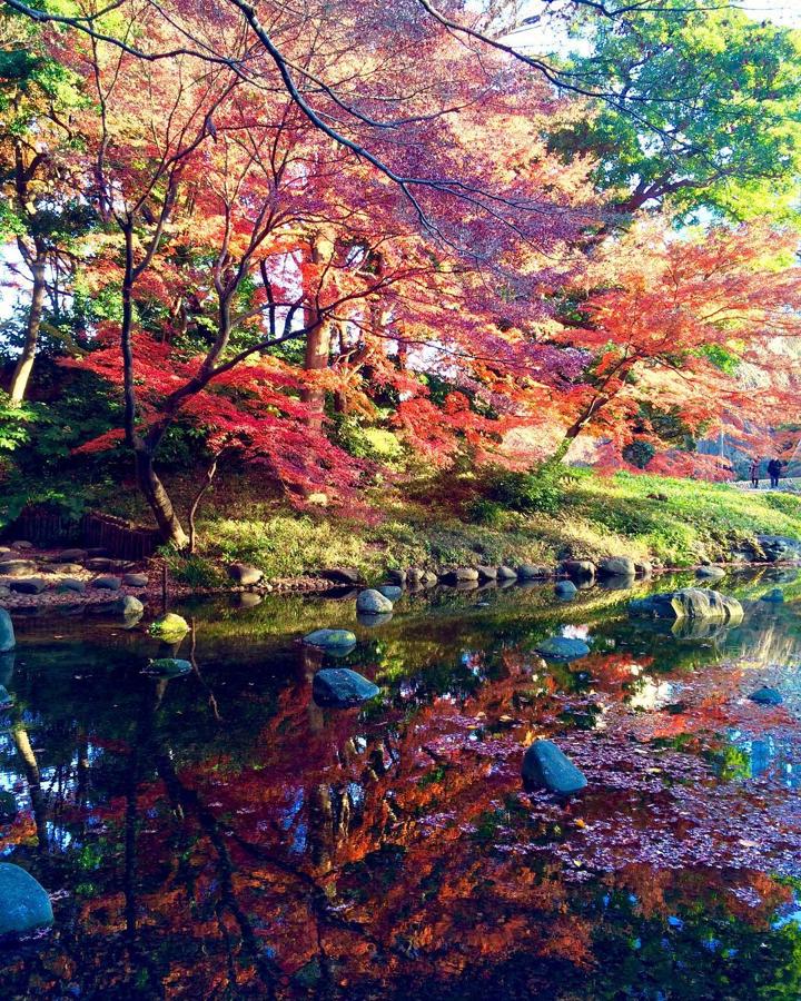 日本庭園