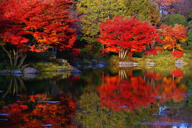 日本庭園