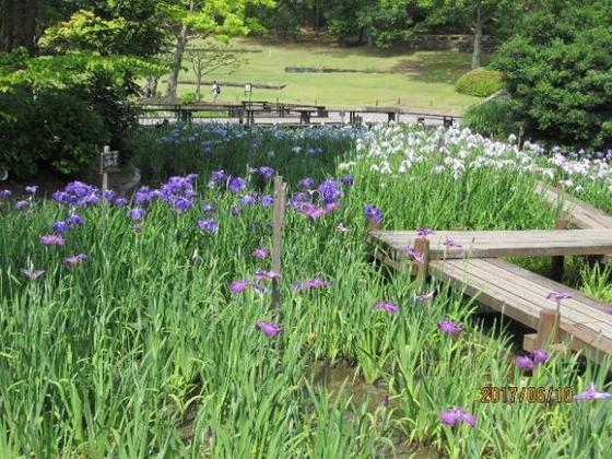 日本庭園