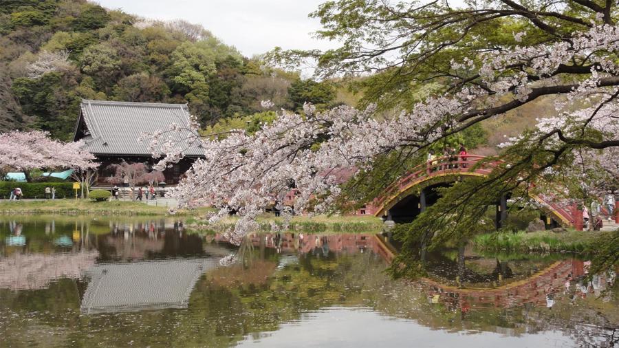 日本庭園